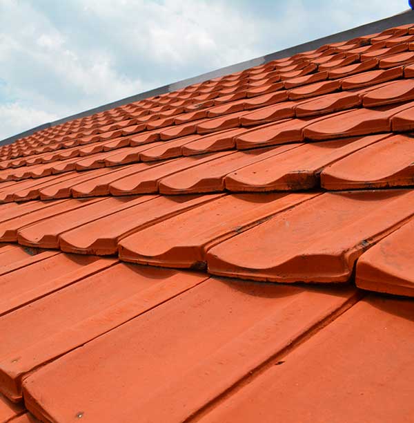 eltonrodneyroofing